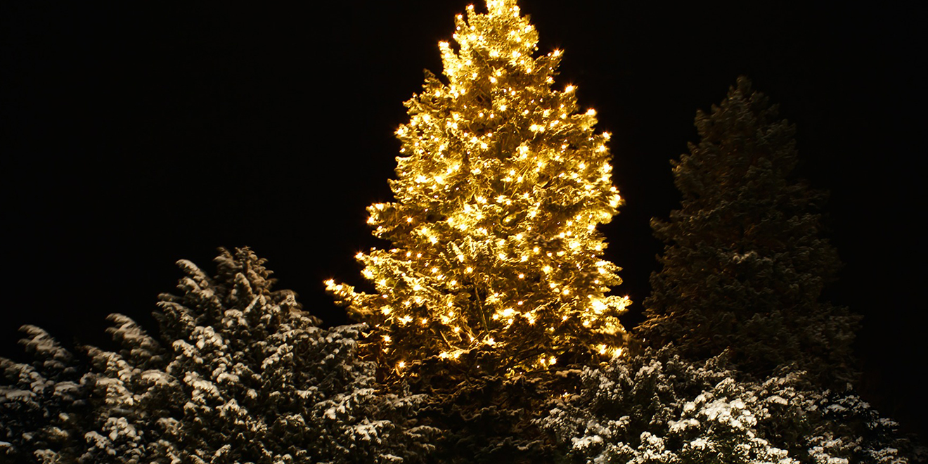 Weihnachtsbaum, Tradition der Weihnachtsbäume, Christbaum, Tannenbaum, Baumschmuck, Christbaumkugeln, Weihnachtsschmuck, Lametta, Lichterkette, Weihnachten, Brauch der Weihnachtsbäume, Christbaum schmücken