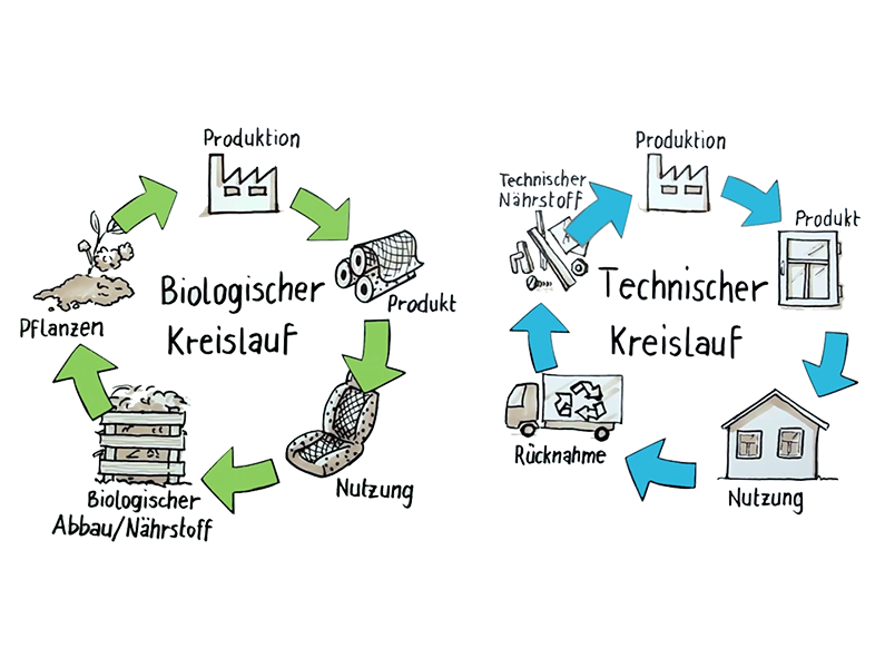 Cradle-to-cradle: der bioglogische Kreislauf