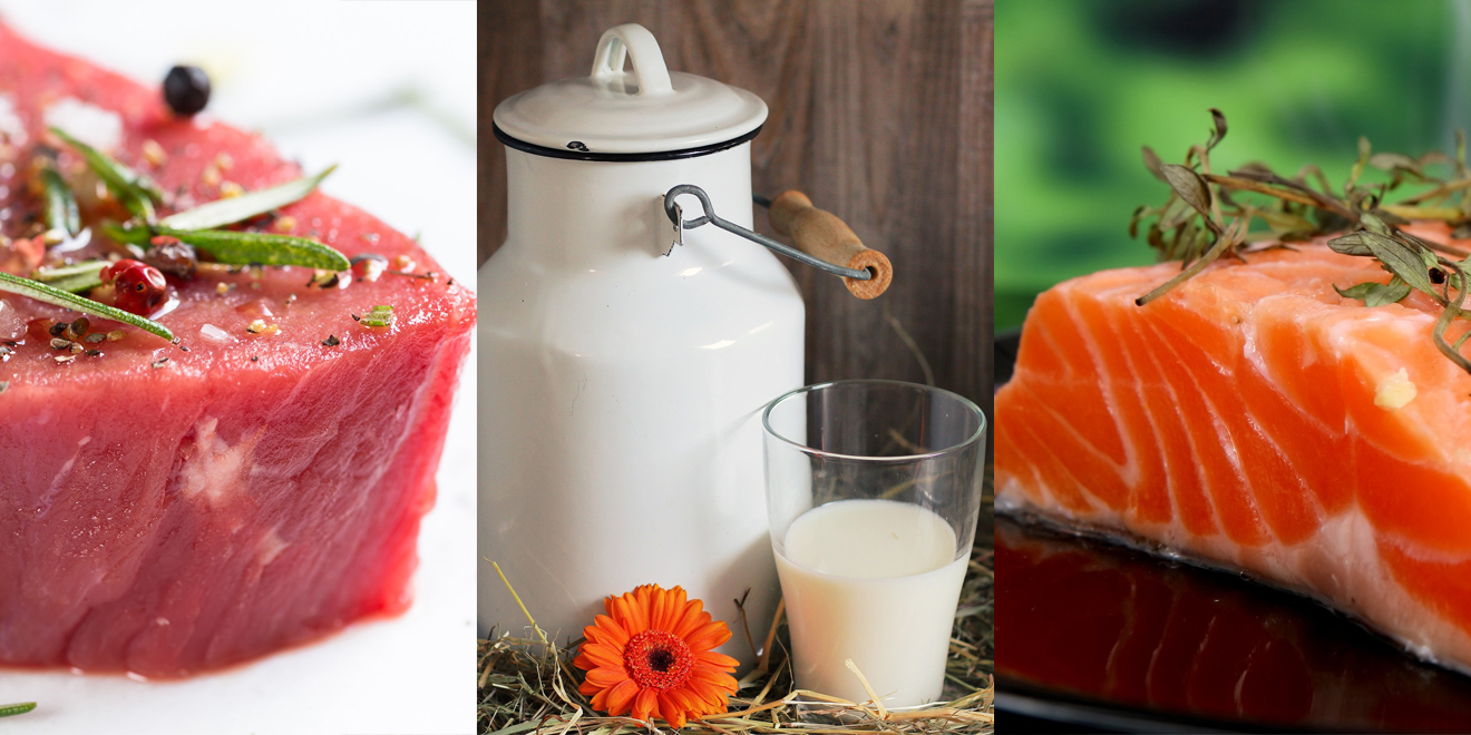Nährstoffe für die Muskeln, Muskeln, Nährstoffe, Sport, Ernährung, Eiweiss, Protein, Proteine