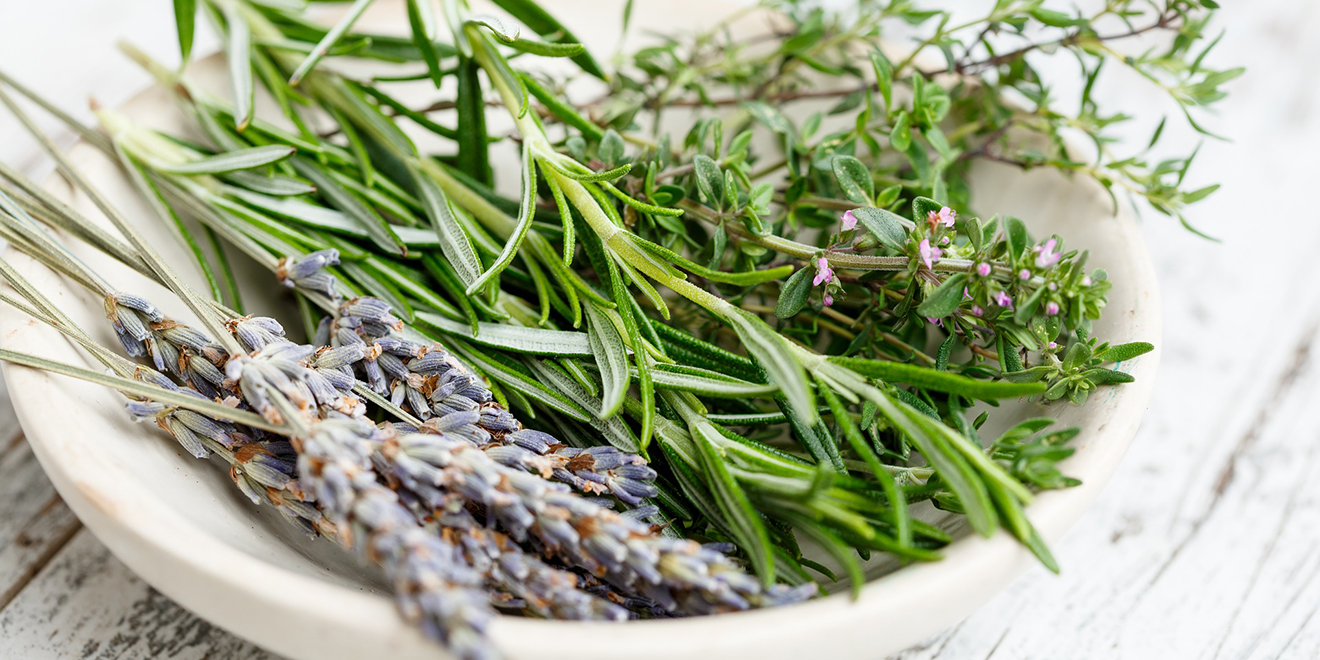Ernährungstrend, basische Ernährung, basische Lebensmittel, basische Ernährungstipps, ausgewogene Ernährung, Obst, Gemüse, basisches Obst, basisches Gemüse, basenbildendes Obst