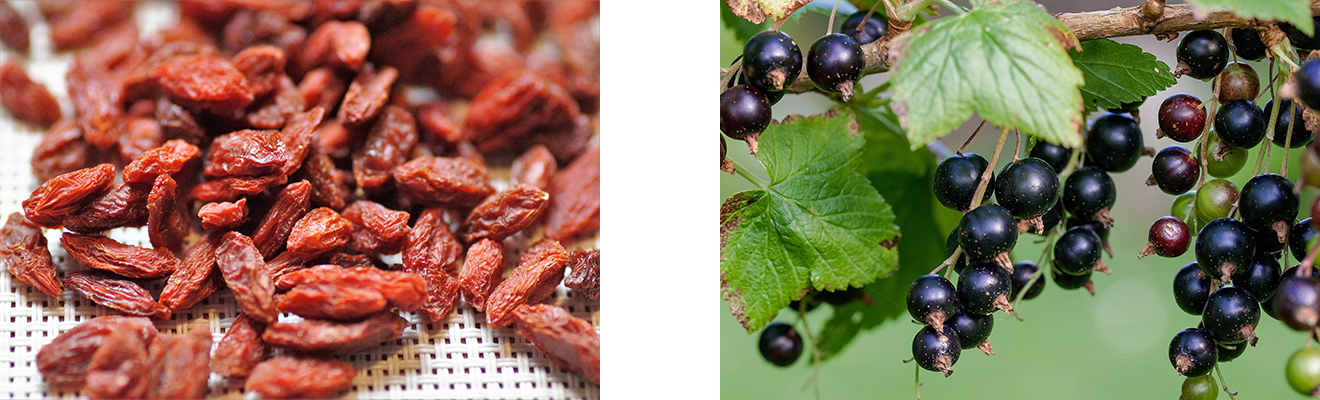 Regionale Superfoods, Superfoods, heimische Superfoods, Chia, Quinoa, regionale Lebensmittel, Acai, Goji-Beeren, Weizengras, Acerola, Superfood Varianten, Wochenmarkt