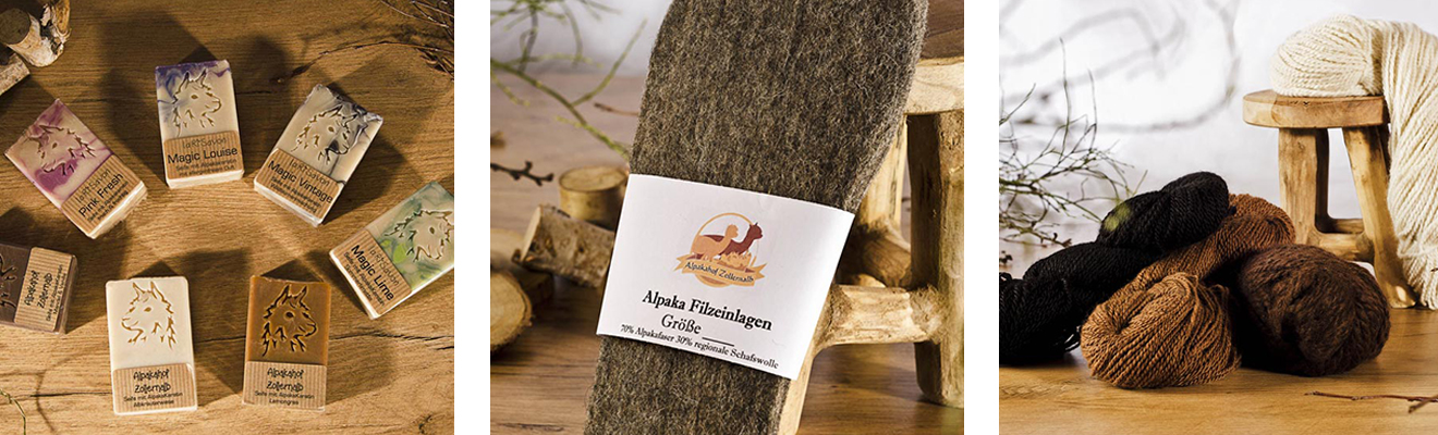 Alpaka. Alpakahof Zollernalb, Alpaka Zucht, Alpakas, Alpaka Wolle, Cria, Alpaka Baby, Fohlen, Alpaka Fohlen