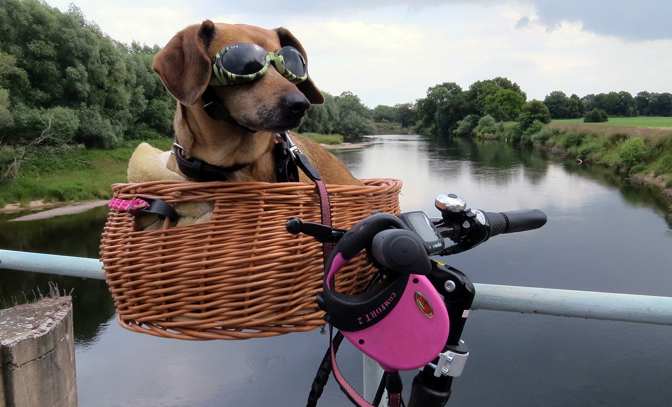 Urlaub mit dem Fahrrad, Radtour, Urlaub mit dem Rad, Fahrradurlaub, die schönsten Radwege in Deutschland, Radtouren durch Deutschland, Radtour in Deutschland, Fahrradtour