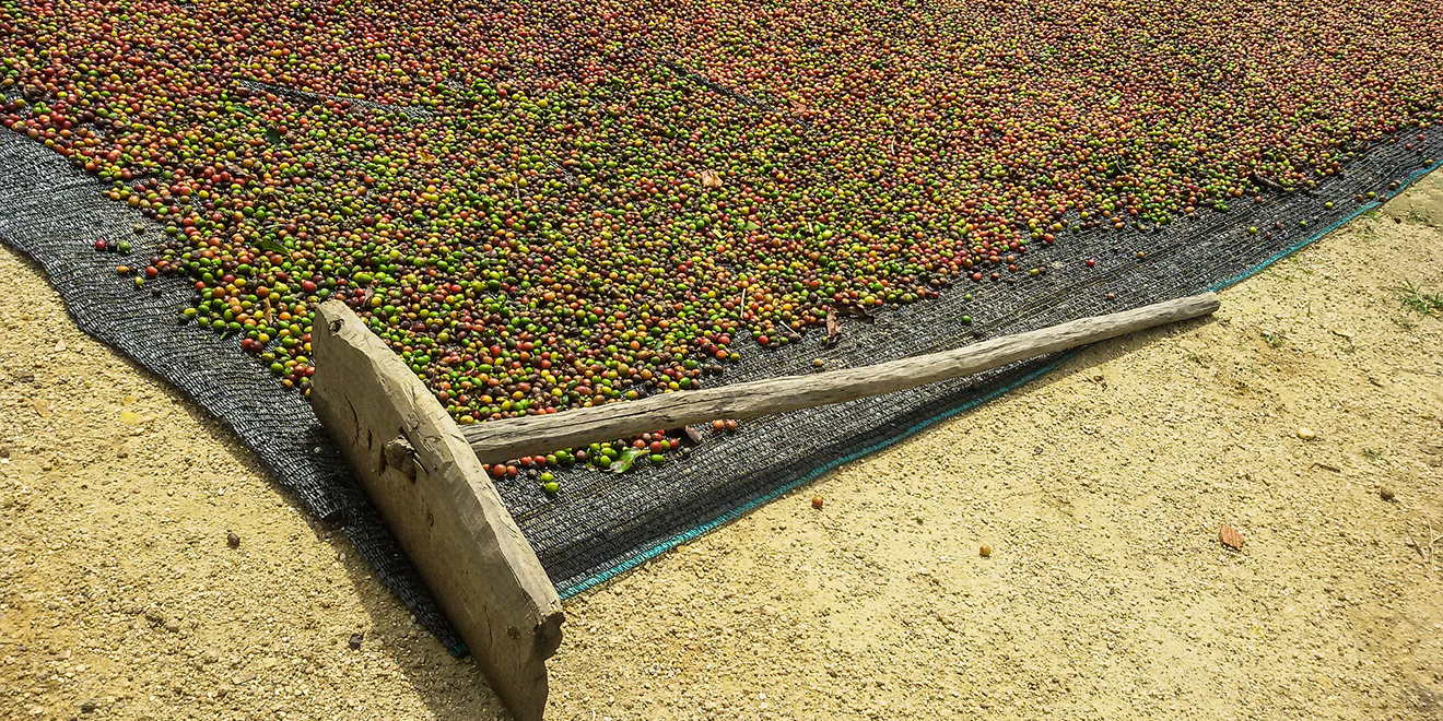 Kaffee, Tag des Kaffees, Kaffee trinken, Kaffee um die ganze Welt, Kaffee Anbau, Kaffee Ernte, Kaffee Zubereitung, Kaffee Spezialitäten, Kaffee Produktion, Kaffee Länder, Kaffeebohnen, Kaffee rösten