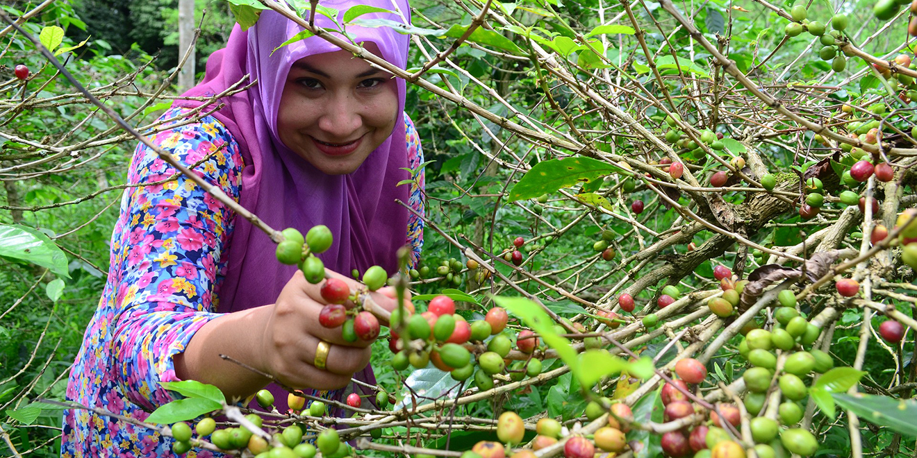 Kaffee, Tag des Kaffees, Kaffee trinken, Kaffee um die ganze Welt, Kaffee Anbau, Kaffee Ernte, Kaffee Zubereitung, Kaffee Spezialitäten, Kaffee Produktion, Kaffee Länder, Kaffeebohnen, Kaffee rösten