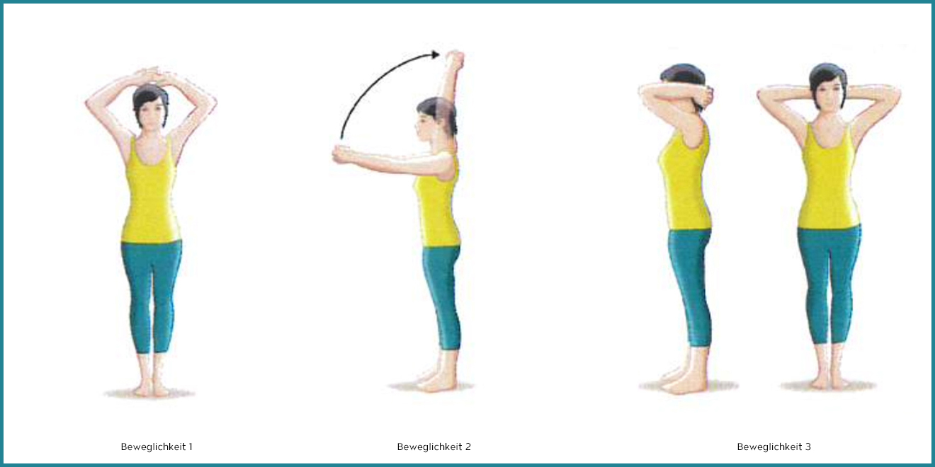 Rückenschule, Rückenschmerzen, Übungen Rücken, Rückenmuskulatur, Rückentraining, Rückenmuskulatur aufbauen, Rückenschule Übungen, Rücken Stärken, Rückenmuskulatur stärken, Rücken Alltag, Schultergürtel, Schultermuskulatur, Schulterapparat, Schultern stärken, Muskeln Schultern, Schultermuskulatur aufbauen