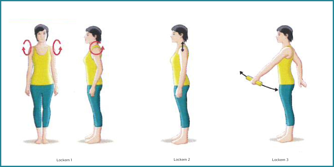Rückenschule, Rückenschmerzen, Übungen Rücken, Rückenmuskulatur, Rückentraining, Rückenmuskulatur aufbauen, Rückenschule Übungen, Rücken Stärken, Rückenmuskulatur stärken, Rücken Alltag, Schultergürtel, Schultermuskulatur, Schulterapparat, Schultern stärken, Muskeln Schultern, Schultermuskulatur aufbauen