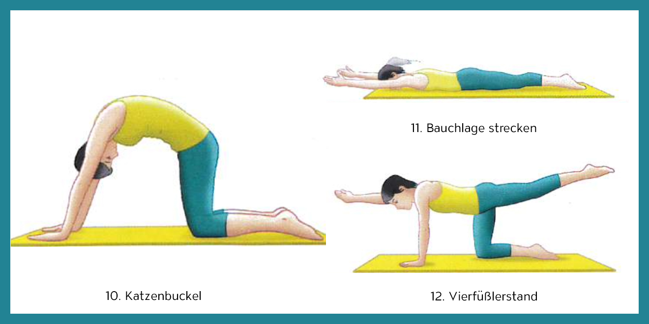 Rückenschule, Rückenschmerzen, Übungen Rücken, Rückenmuskulatur, Rückentraining, Rückenmuskulatur aufbauen, Rückenschule Übungen, Rücken Stärken, Rückenmuskulatur stärken, Rücken Alltag, Schultergürtel, Schultermuskulatur, Schulterapparat, Schultern stärken, Muskeln Schultern, Schultermuskulatur aufbauen, Lendenwirbel, Brustwirbel, Halswirbel, Wirbelsäule