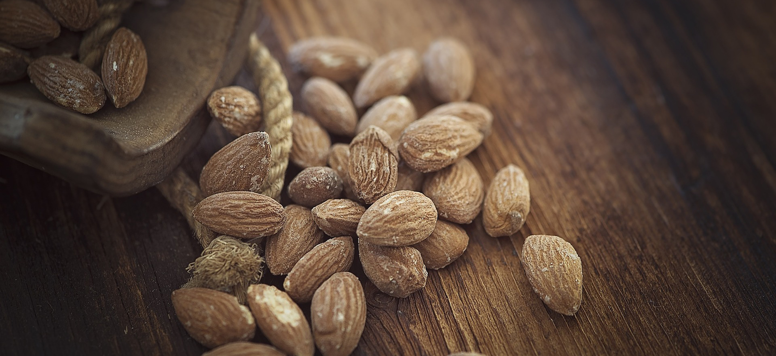 Nährstoffe, Ernährung, Kohlenhydrate, Eiweiß, Fett, Ballaststoffe, Energie, Vitamine, ausgewogene Ernährung, welche Nährstoffe, Nährstoffe für den Körper, Spurenelemente, Mineralstoffe, Lebensmittel, Essen