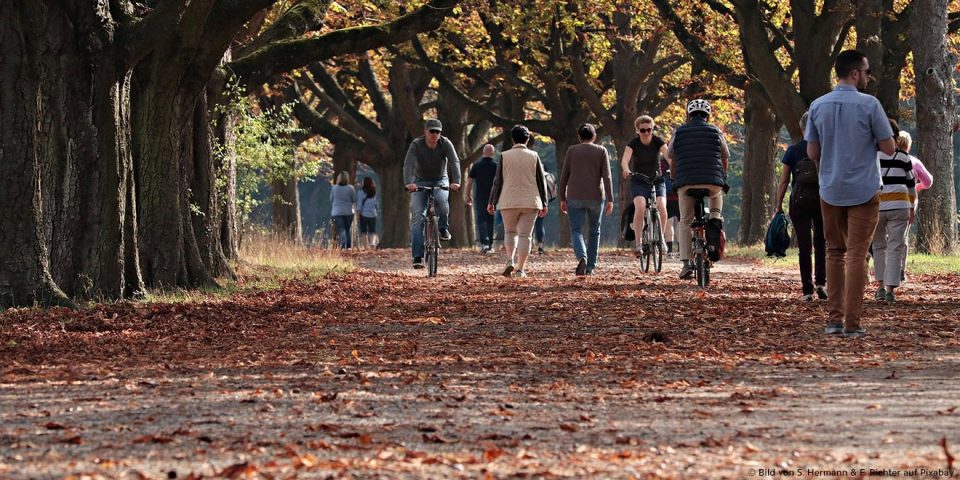 Spazieren gehen im Park