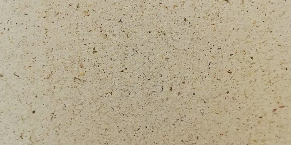 Die Struktur der nachhaltigen Verpackungen aus Gras von Biobiene