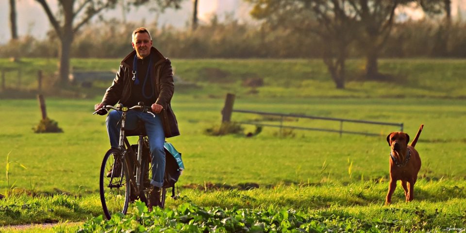 Radfahrer und Hund sind draußen an der frischen Luft. Bewegung hilft beim natürlichen Entwässern. 