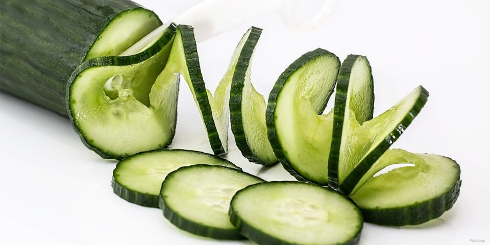 Eine Gurke besteht aus sehr viel Wasser und kann so zu dem gesunden und natürlichen Entwässern beitragen. 