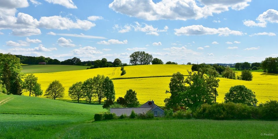 Heimat ist nicht unbedingt an einen Ort gebunden.