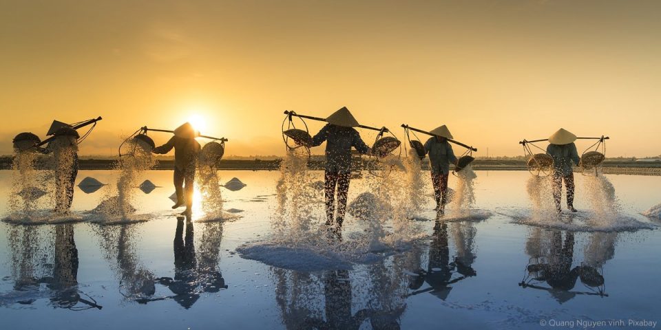 Reisfeldarbeiter in Asien arbeiten ohne Arbeitszeitregelung