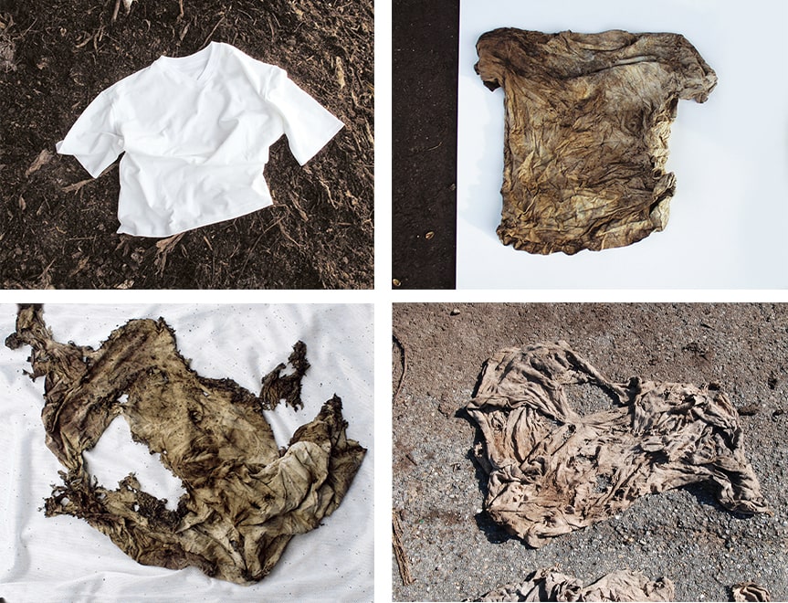 Biologisch abbaubares Shirt aus Bio-Baumwolle. 