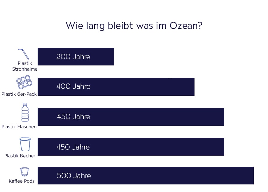 Makroplastik benötigt mehrere Jahrhunderte, bevor es zu Mikroplastik zerfällt und in Organismen gerät.