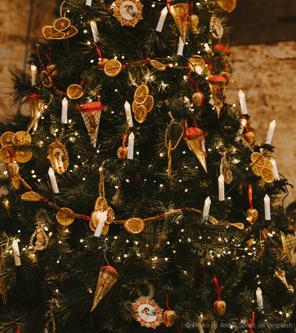 Girlande aus getrockneten Orangenscheiben am Weihnachtsbaum.